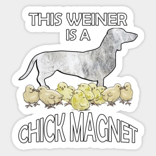 Dachshund Lover Cute Funny Doxie Quote This Weiner Is A Chick Magnet Sticker